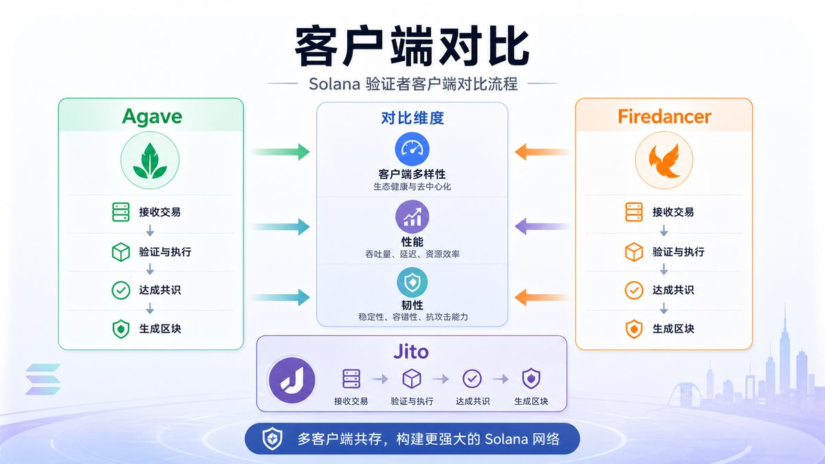 Solana Firedancer是什么？ 图 1