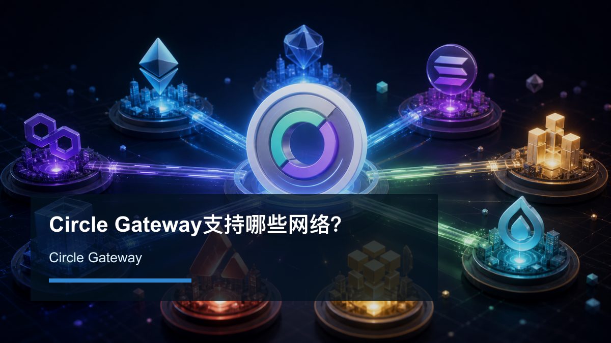 Circle Gateway支持哪些网络？